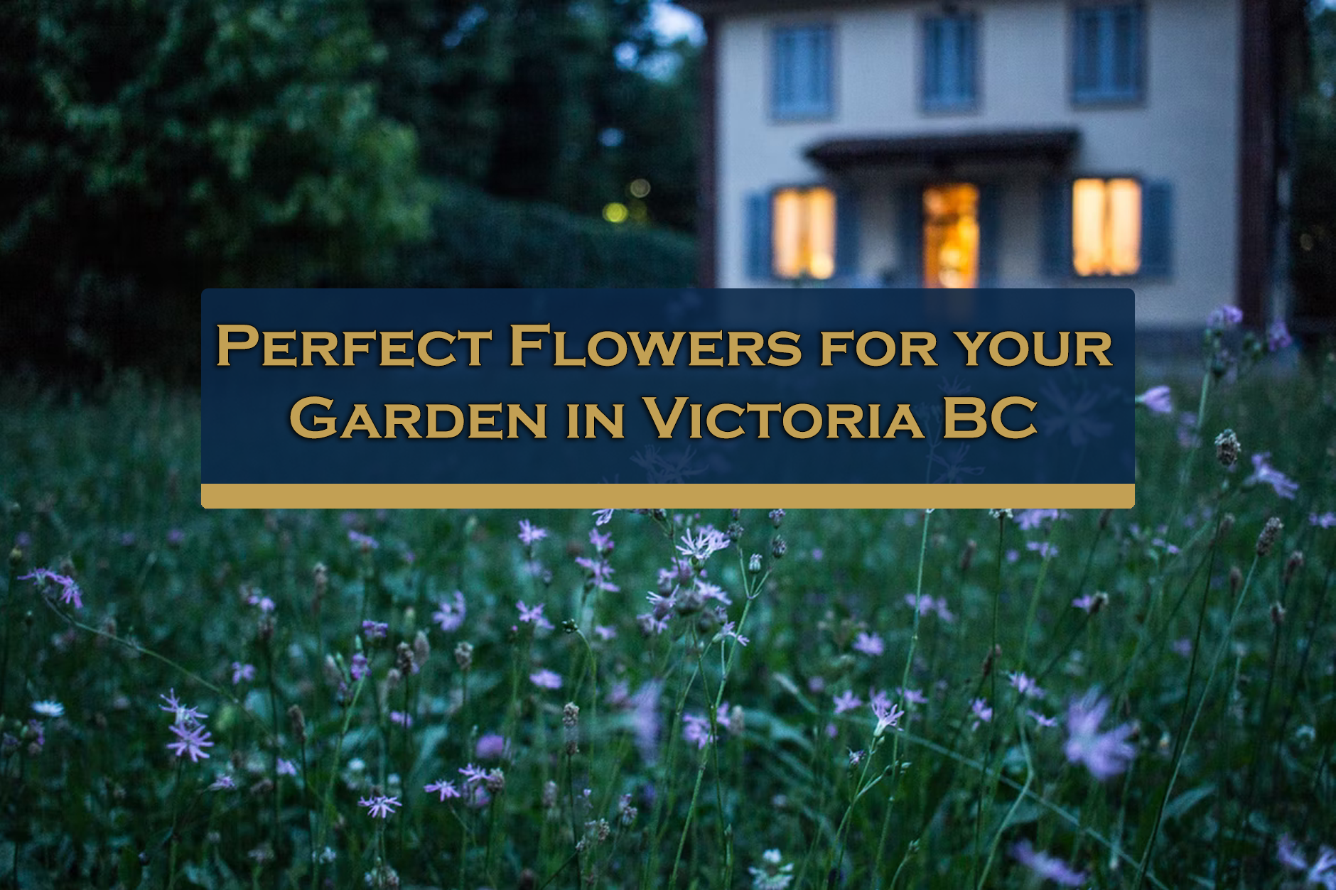 Perfect Flowers for your Garden in Victoria BC
